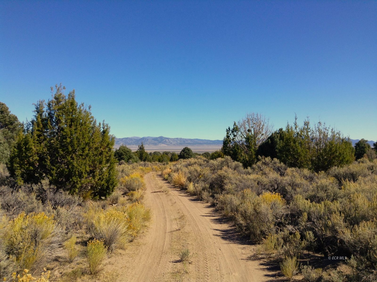 Faulkner Creek Road Eureka, NV 89316 - Photo 5 of 8