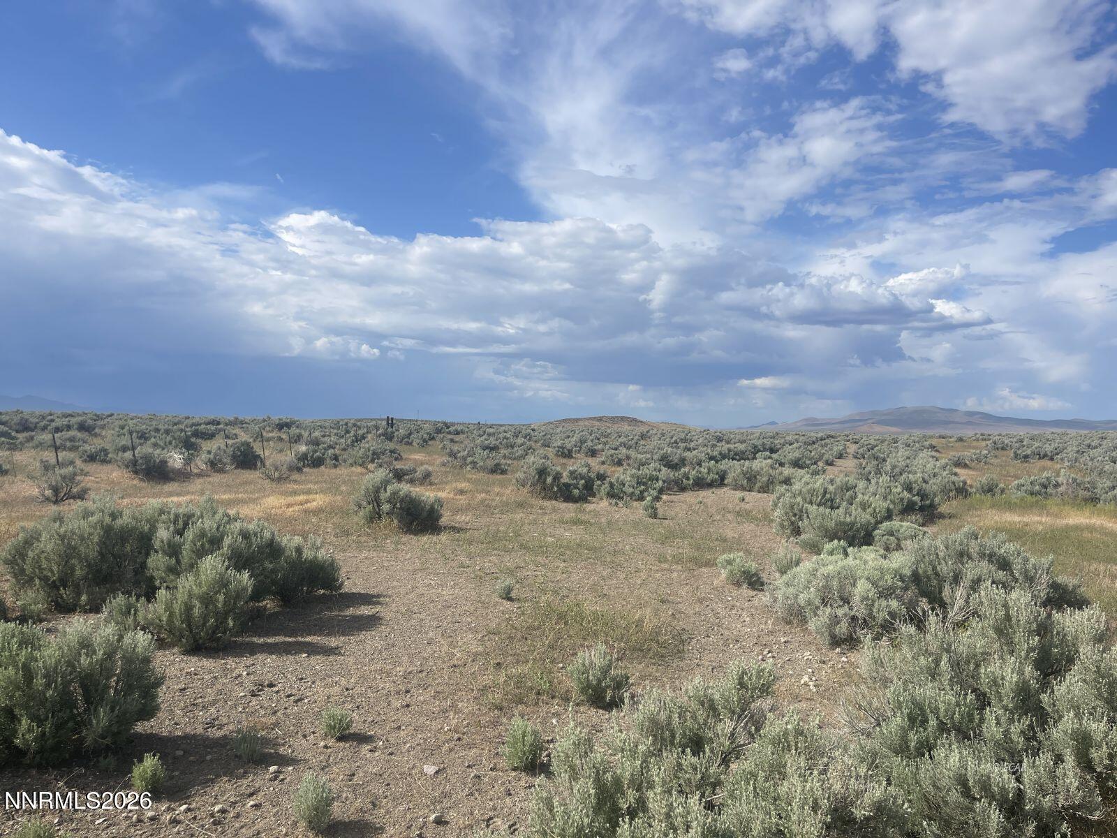 10 Button Point Road Golconda, NV 89414 - Photo 9 of 25 a view of a dry yard with lots of bushes