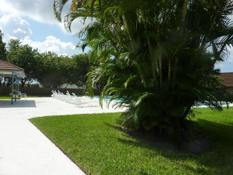 3900 County Line Road, Unit 8C Jupiter, FL 33469 - Photo 20 of 21 Community Pool
