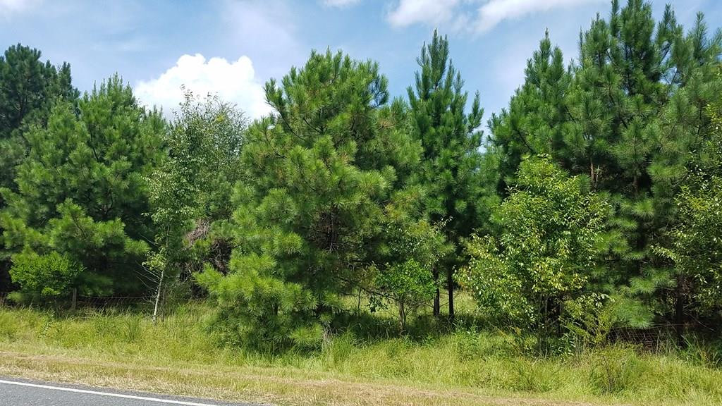 228 Colbert Bridge Road Windsor, SC 29856 - Photo 5 of 5