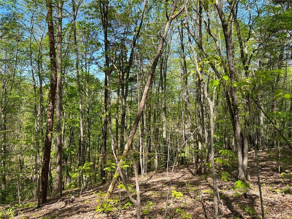 269 Appleberry Mountain Road Waleska, GA 30183 - Photo 1 of 4 a view of an outdoor space