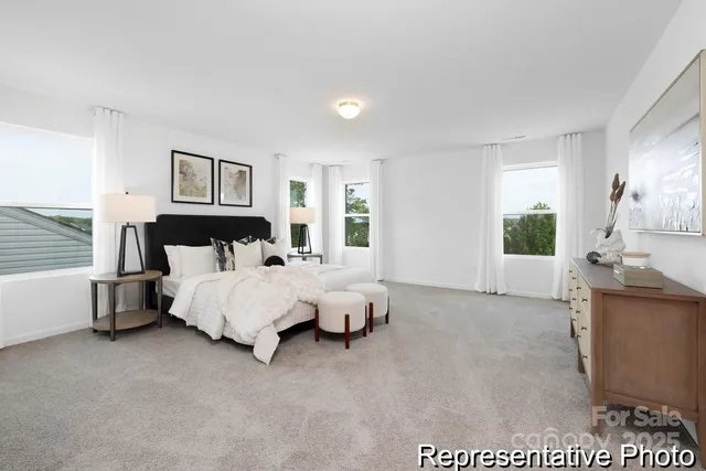 a bed room with a bed and a couch