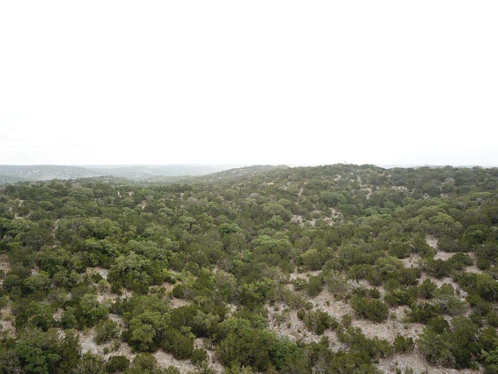 2521 Sd 31600 Rocksprings, TX 78880 - Photo 12 of 58 a view of a green field