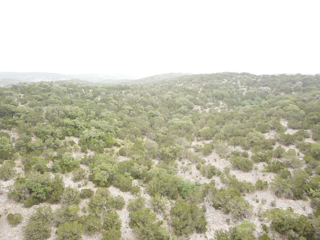 2521 Sd 31600 Rocksprings, TX 78880 - Photo 13 of 58