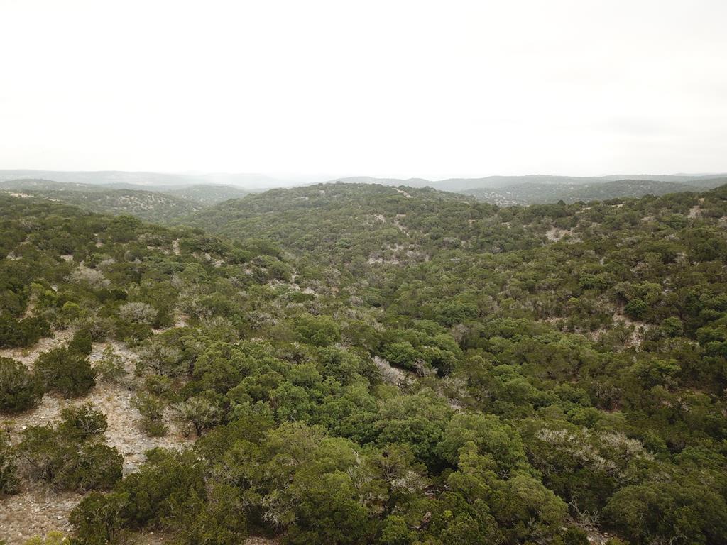 2521 Sd 31600 Rocksprings, TX 78880 - Photo 17 of 58 an aerial view of houses covered in trees
