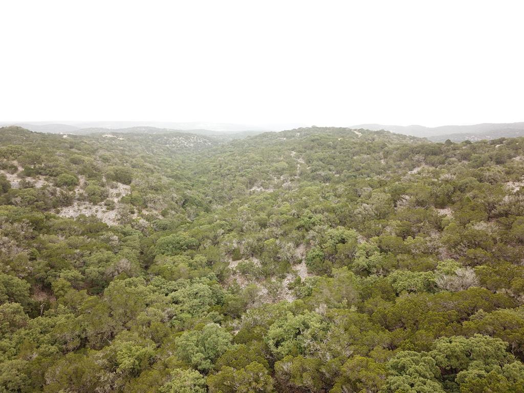 2521 Sd 31600 Rocksprings, TX 78880 - Photo 19 of 58 an aerial view of house with yard and mountain view in back