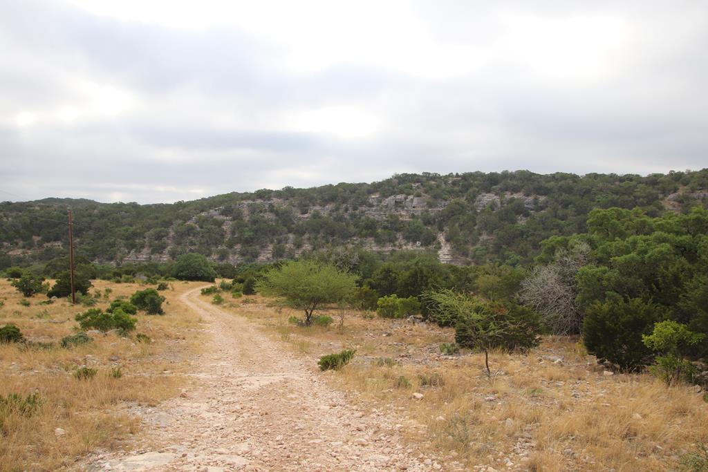 2521 Sd 31600 Rocksprings, TX 78880 - Photo 31 of 58 a view of a yard with a tree