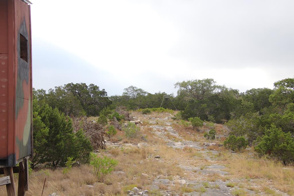 2521 Sd 31600 Rocksprings, TX 78880 - Photo 36 of 58