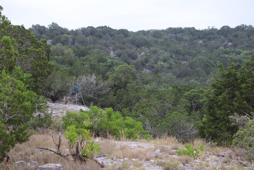 2521 Sd 31600 Rocksprings, TX 78880 - Photo 37 of 58 a view of a valley