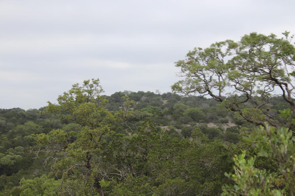 2521 Sd 31600 Rocksprings, TX 78880 - Photo 38 of 58