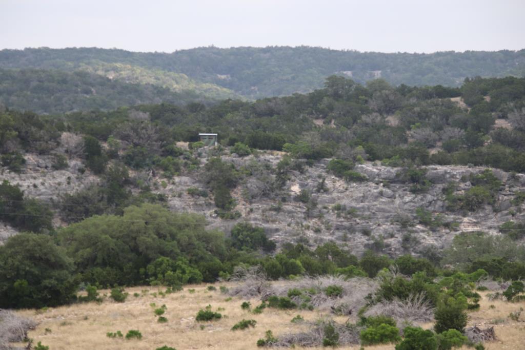 2521 Sd 31600 Rocksprings, TX 78880 - Photo 41 of 58 a view of a covered with trees in the background