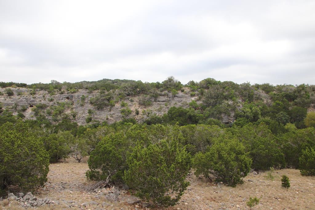 2521 Sd 31600 Rocksprings, TX 78880 - Photo 43 of 58 a view of a yard