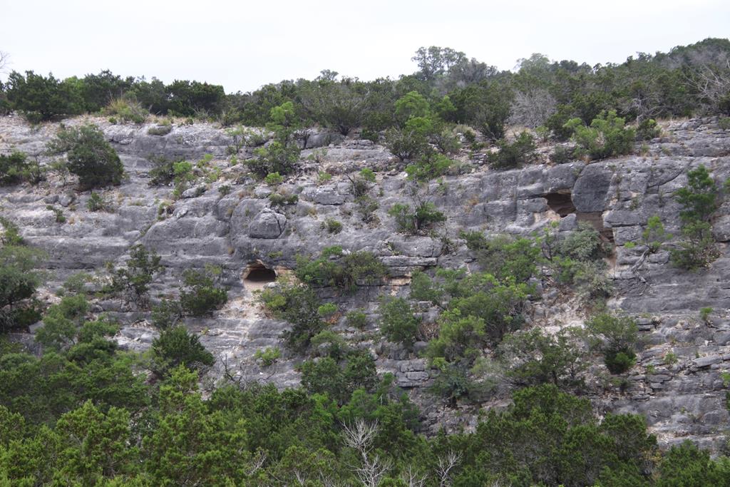 2521 Sd 31600 Rocksprings, TX 78880 - Photo 44 of 58 a view of a forest with a street