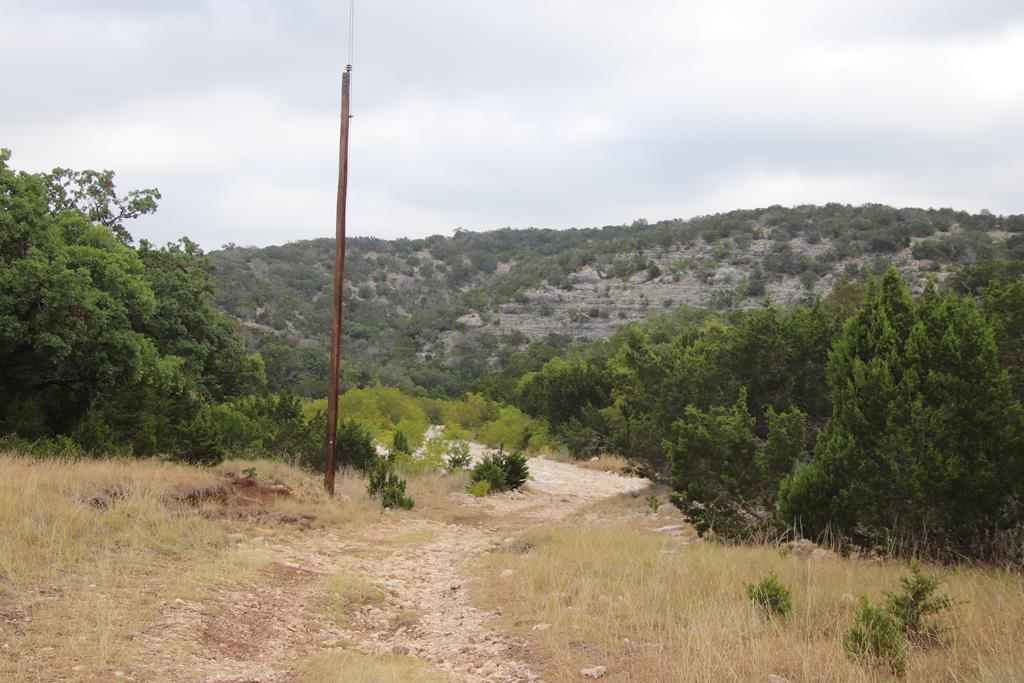 2521 Sd 31600 Rocksprings, TX 78880 - Photo 46 of 58 a view of a road with a tree in the background