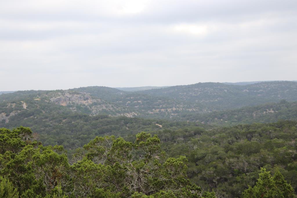 2521 Sd 31600 Rocksprings, TX 78880 - Photo 47 of 58 an aerial view of houses covered in trees