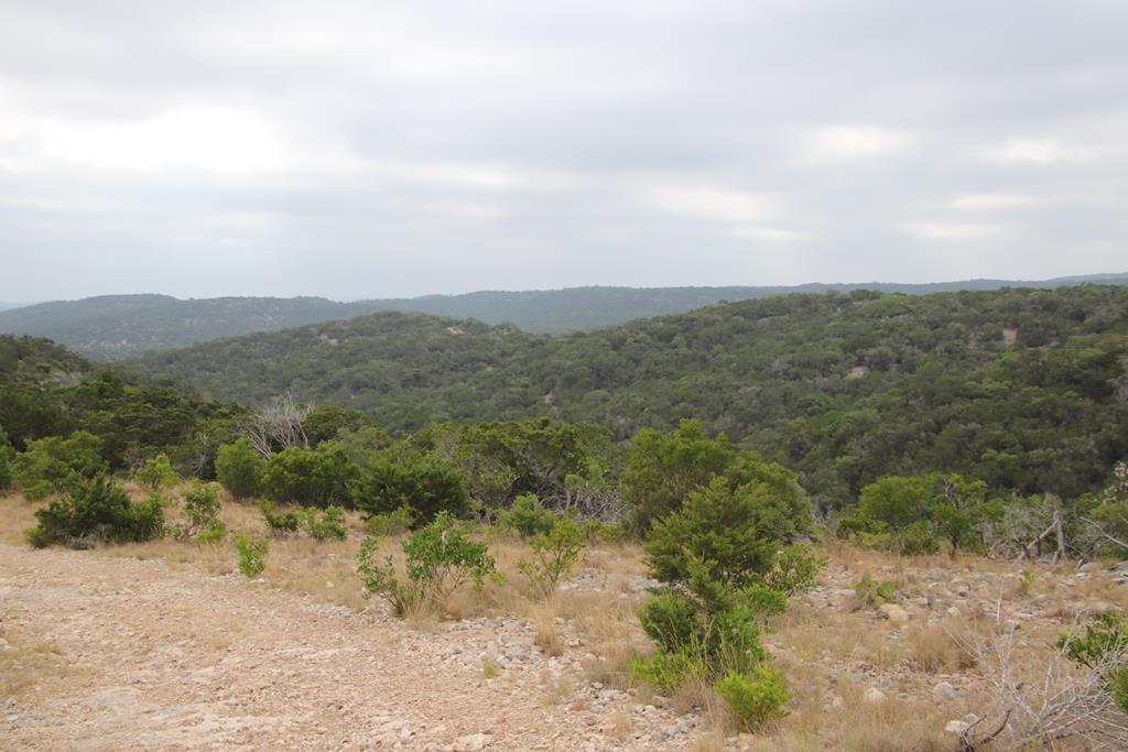 2521 Sd 31600 Rocksprings, TX 78880 - Photo 51 of 58 a view of a mountain in the distance in a field