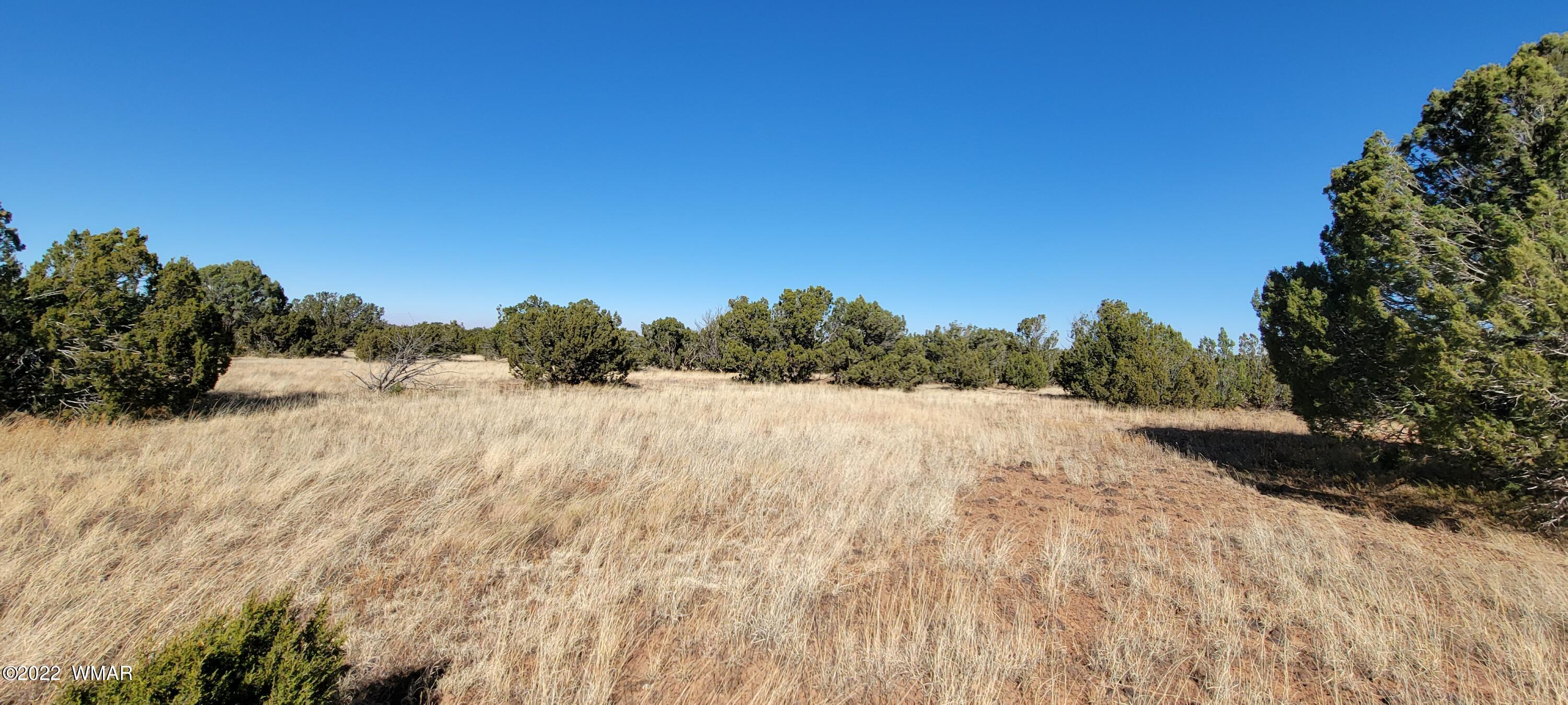 2477 Jay Road Show Low, AZ 85901 - Photo 7 of 12 20221109_130834
