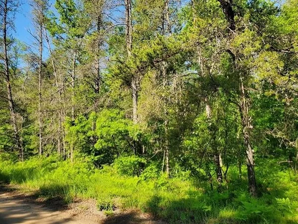 $129,900 | 0 Quigley Road, Alger, MI 48610