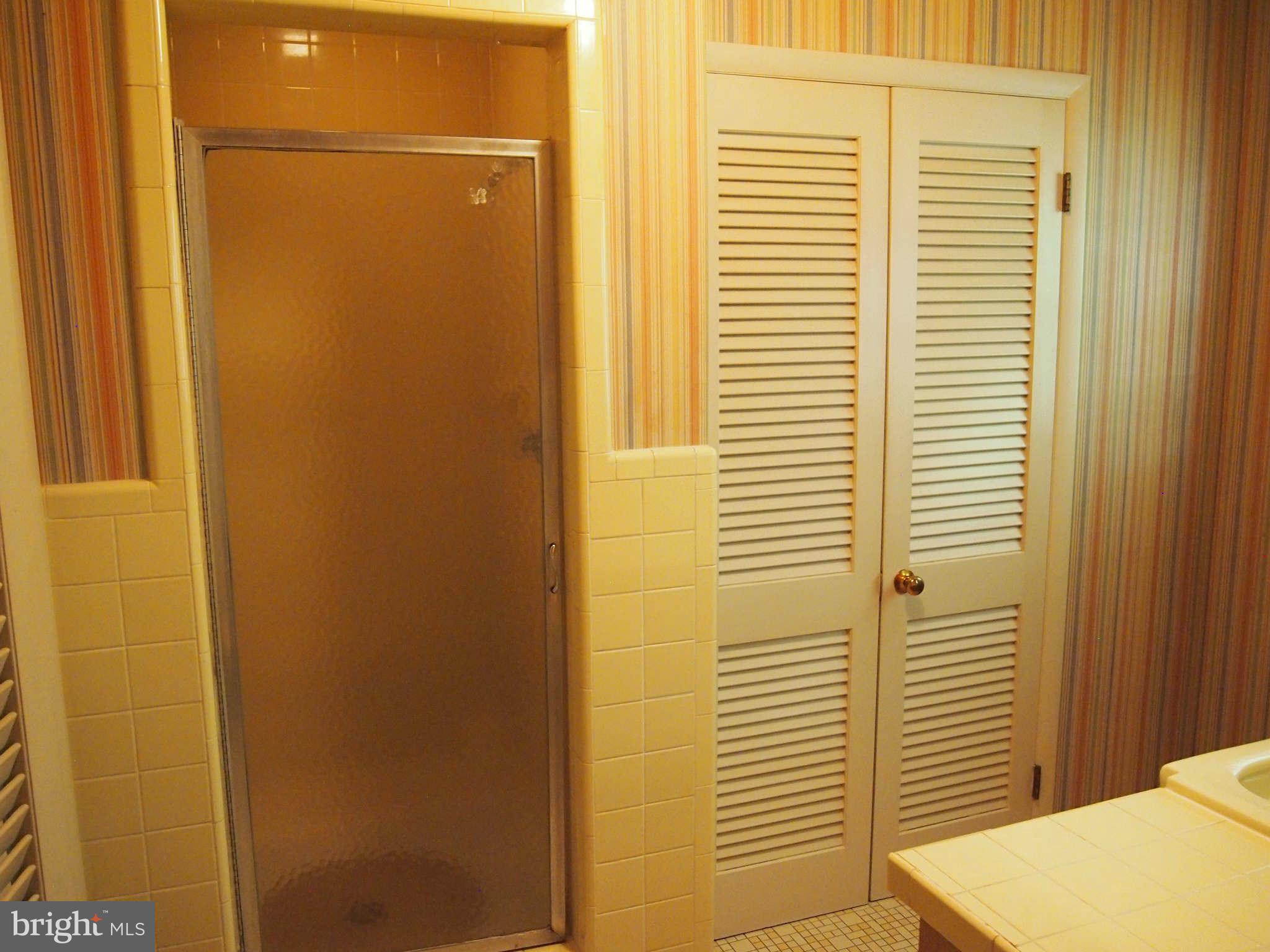 17900 Pin Oak Road Hagerstown, MD 21740 - Photo 18 of 30 Bath (Master)
