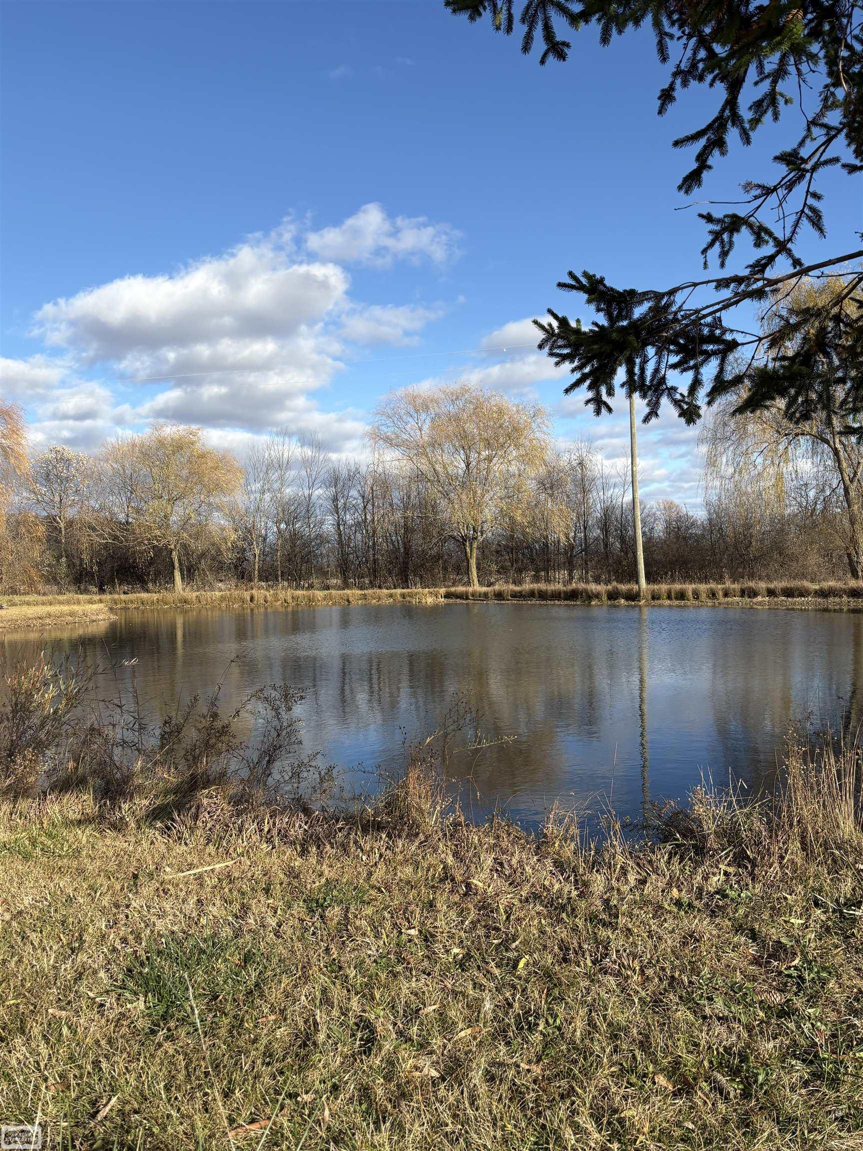 14830 Dudley Road Brown City, MI 48416 - Photo 23 of 33