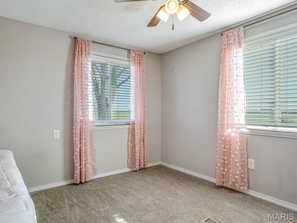 9598 Elm Shade Road Red Bud, IL 62278 - Photo 13 of 26