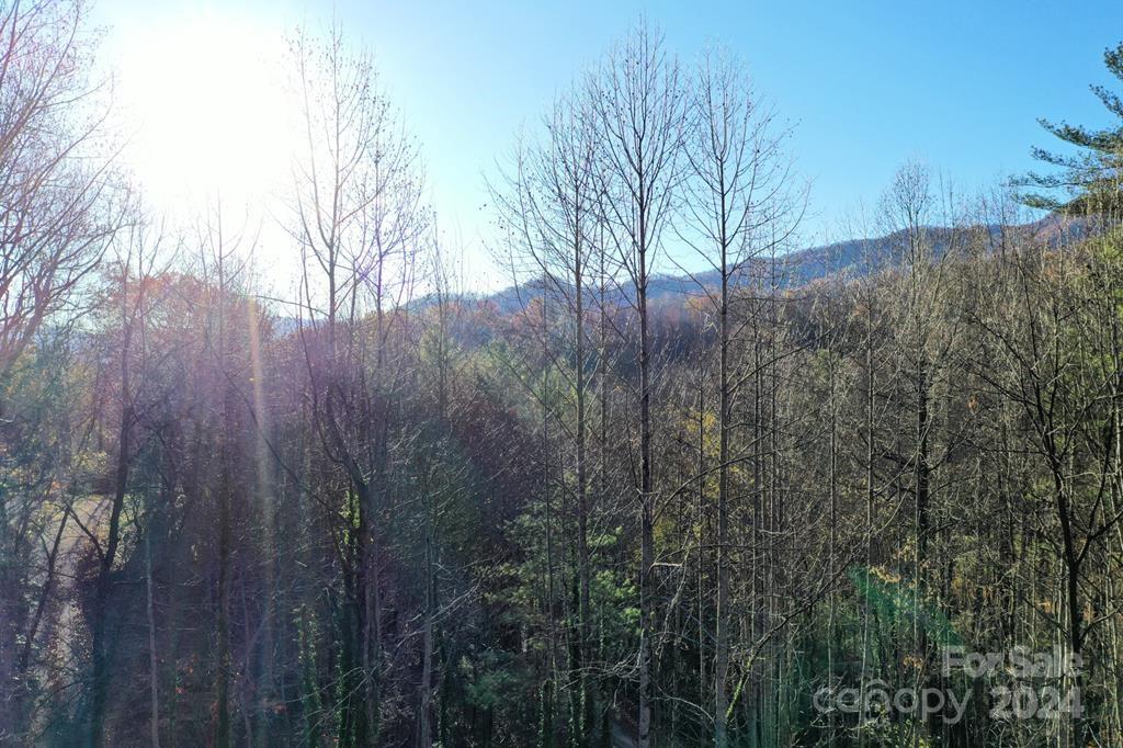 84 Woodtop Road Sylva, NC 28779 - Photo 8 of 32 Gallery Image 8