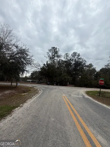 $260,000 | 745 St Marys River Bluff Road, St. George, GA 31562