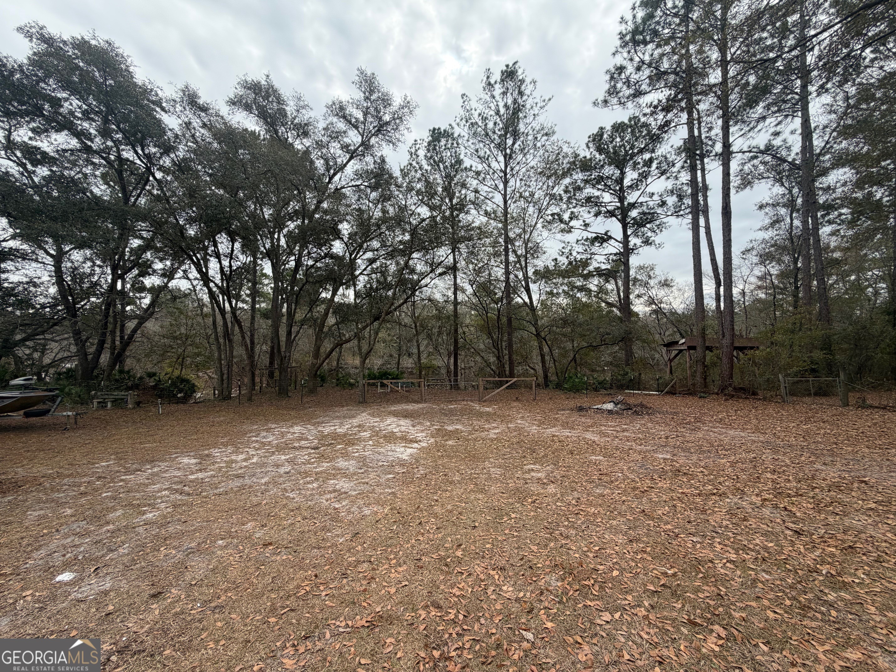 745 St Marys River Bluff Road St. George, GA 31562 - Photo 24 of 28 Back Yard