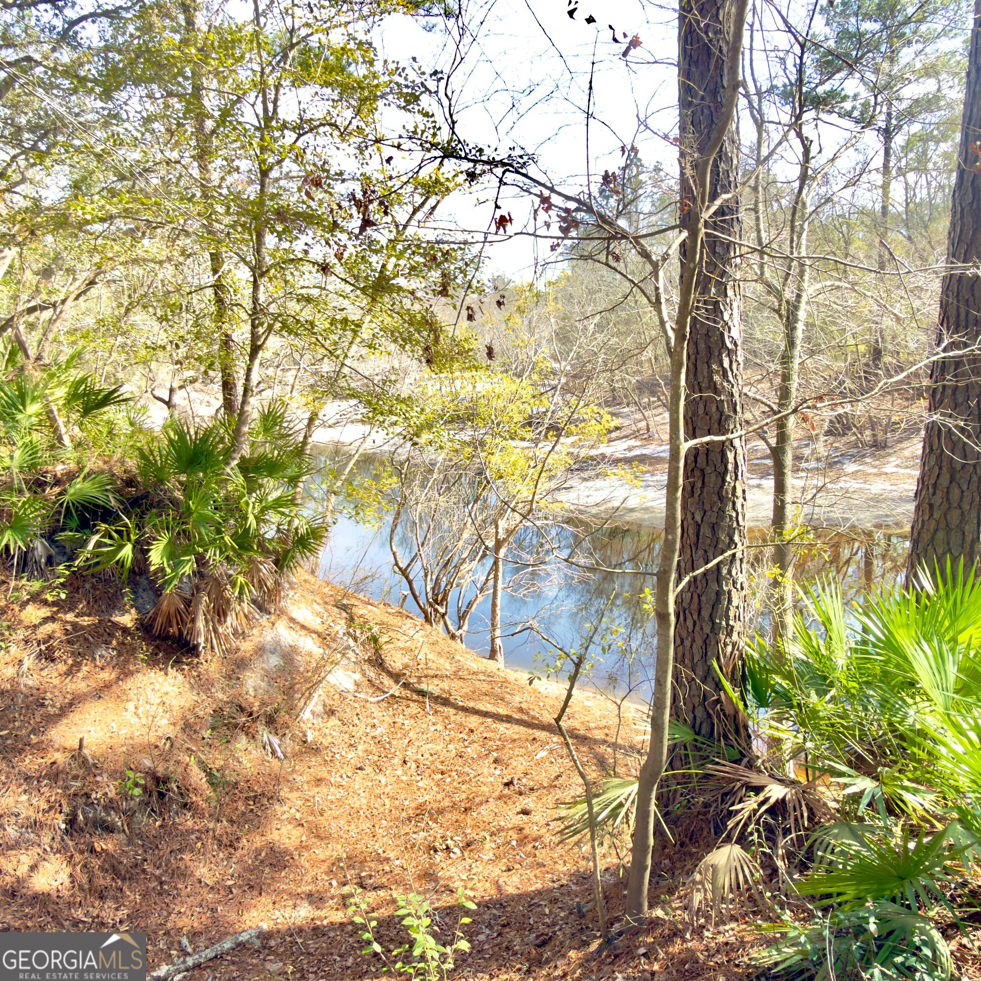 745 St Marys River Bluff Road St. George, GA 31562 - Photo 27 of 28