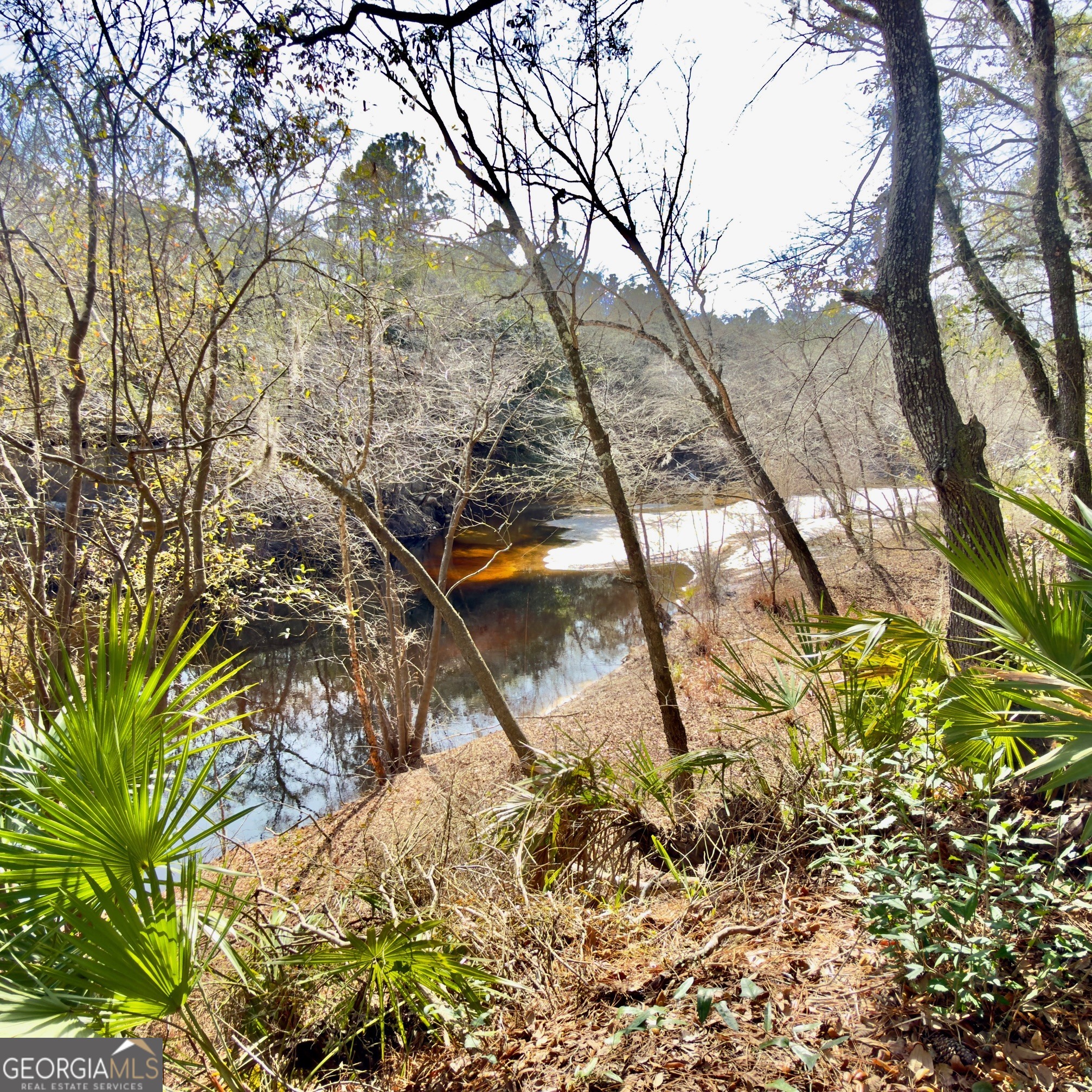 745 St Marys River Bluff Road St. George, GA 31562 - Photo 28 of 28