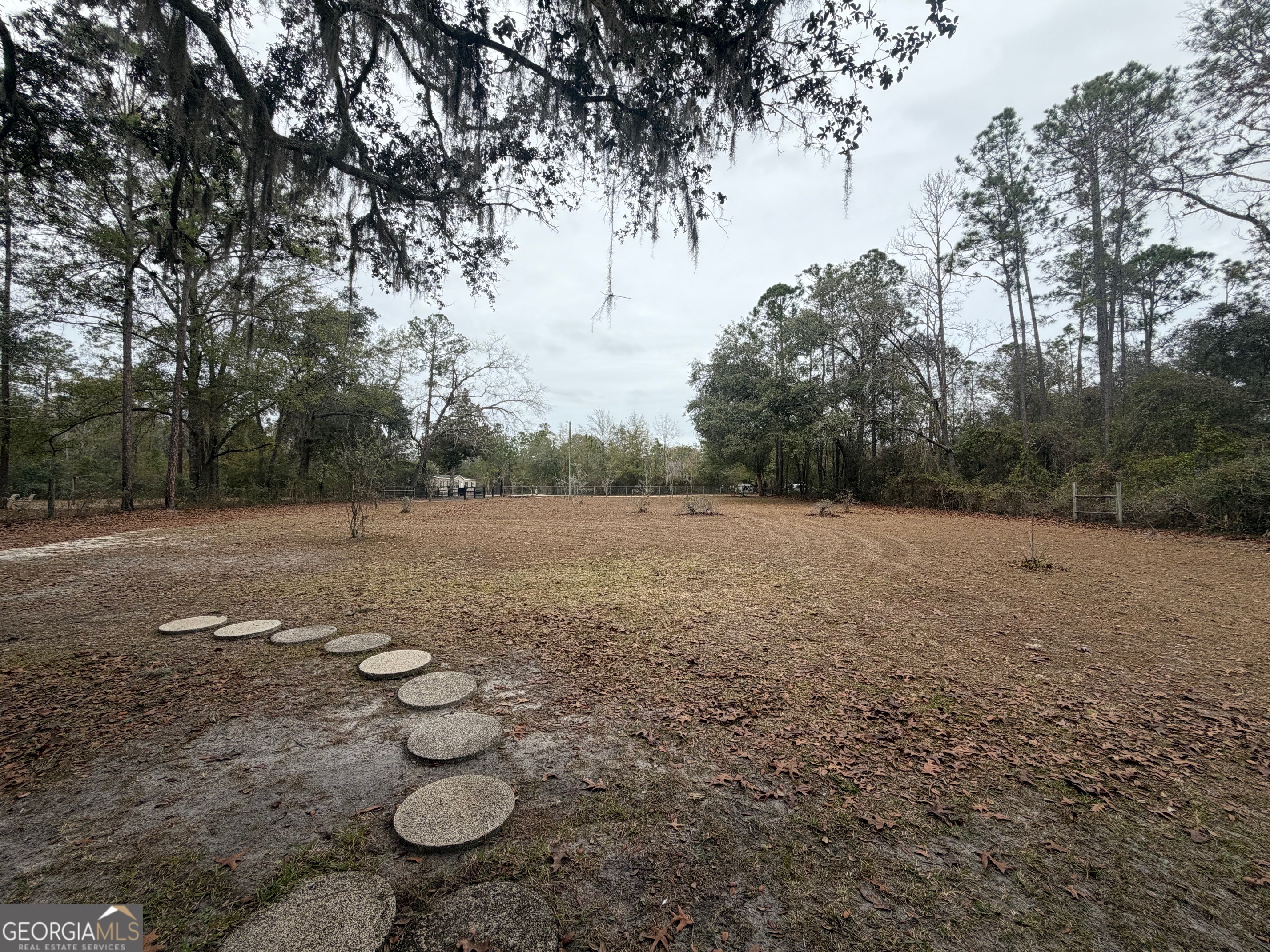 745 St Marys River Bluff Road St. George, GA 31562 - Photo 3 of 28 Front Yard