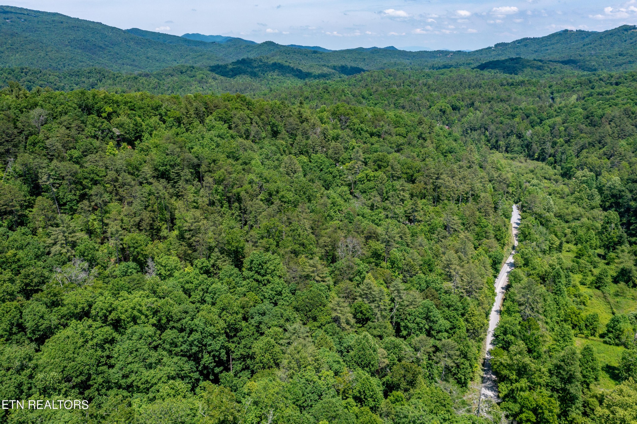 0 Chilhowee Loop Walland, TN 37886 - Photo 12 of 19 Gallery Image 12