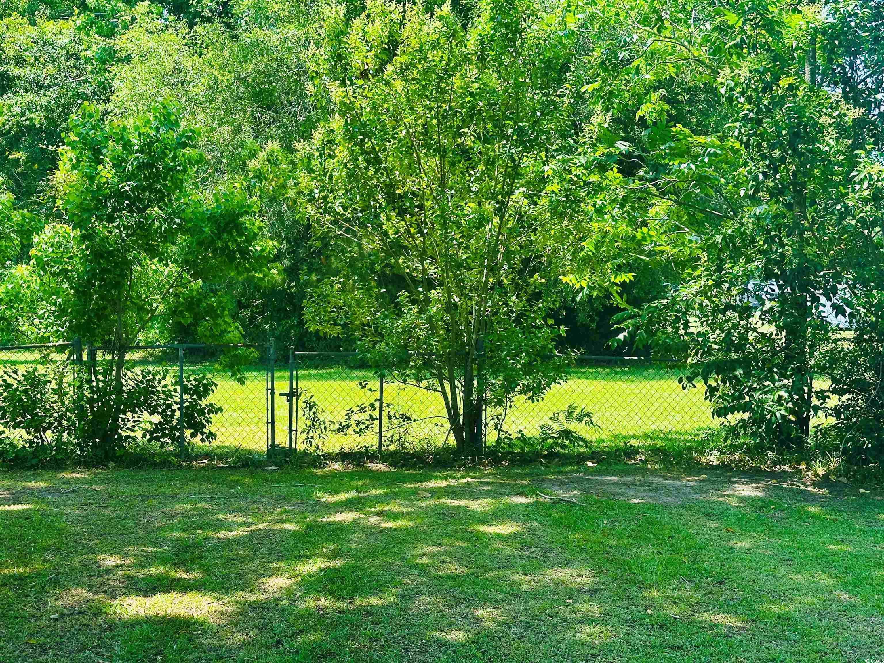 8 Raymond Street Andrews, SC 29510 - Photo 13 of 13 View of yard