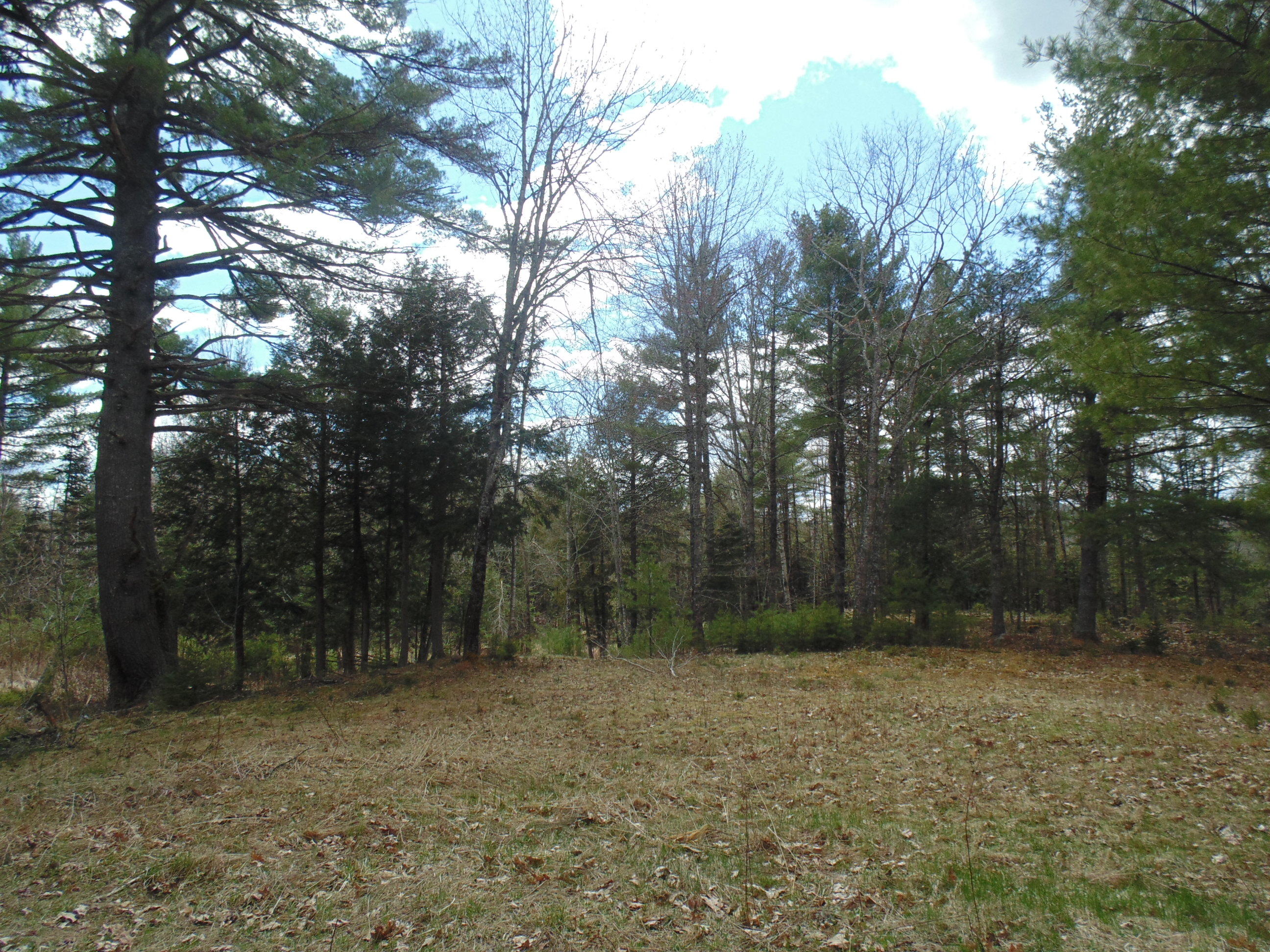537 Airline Road Amherst, ME 04605 - Photo 57 of 57 DSC06084