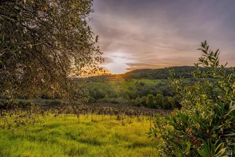 $6,500,000 | 969 Rachael Road, Sonoma, CA 95476
