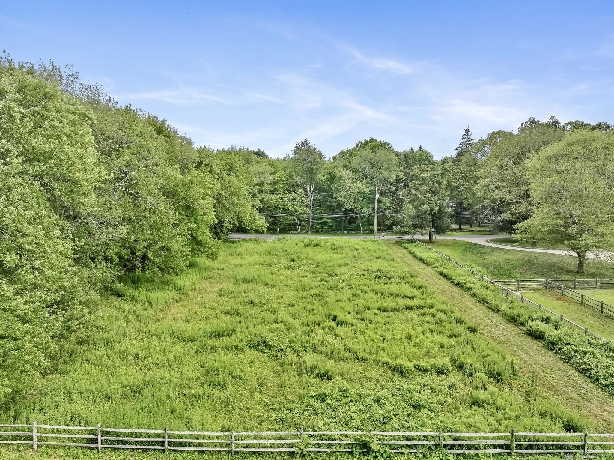 a view of a field with grass and trees