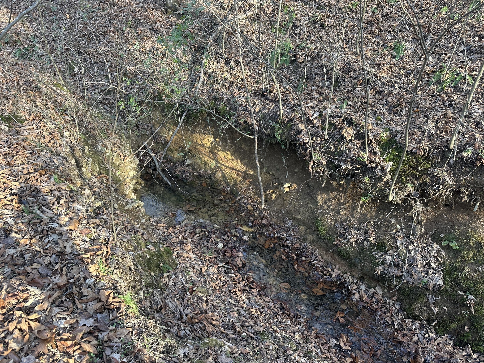 0 Arnold Thomas Road Silver Point, TN 38582 - Photo 17 of 23 Gallery Image 17