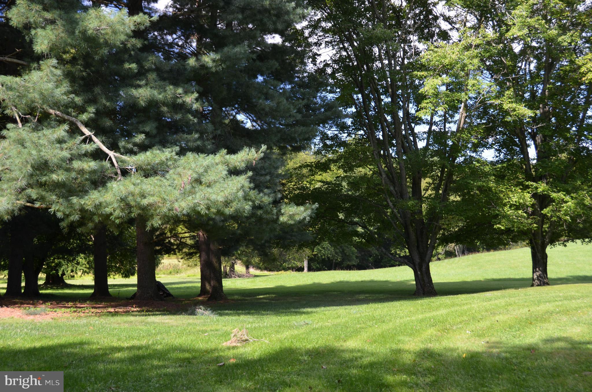22167 Sam Fred Road Middleburg, VA 20117 - Photo 18 of 19 View