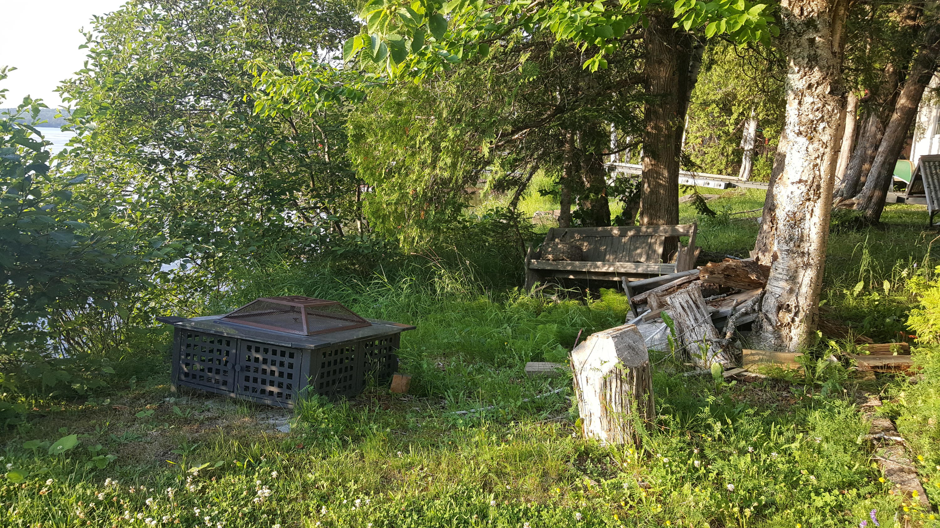 887 South Shore Road Stockholm, ME 04783 - Photo 26 of 33 20190729_185153
