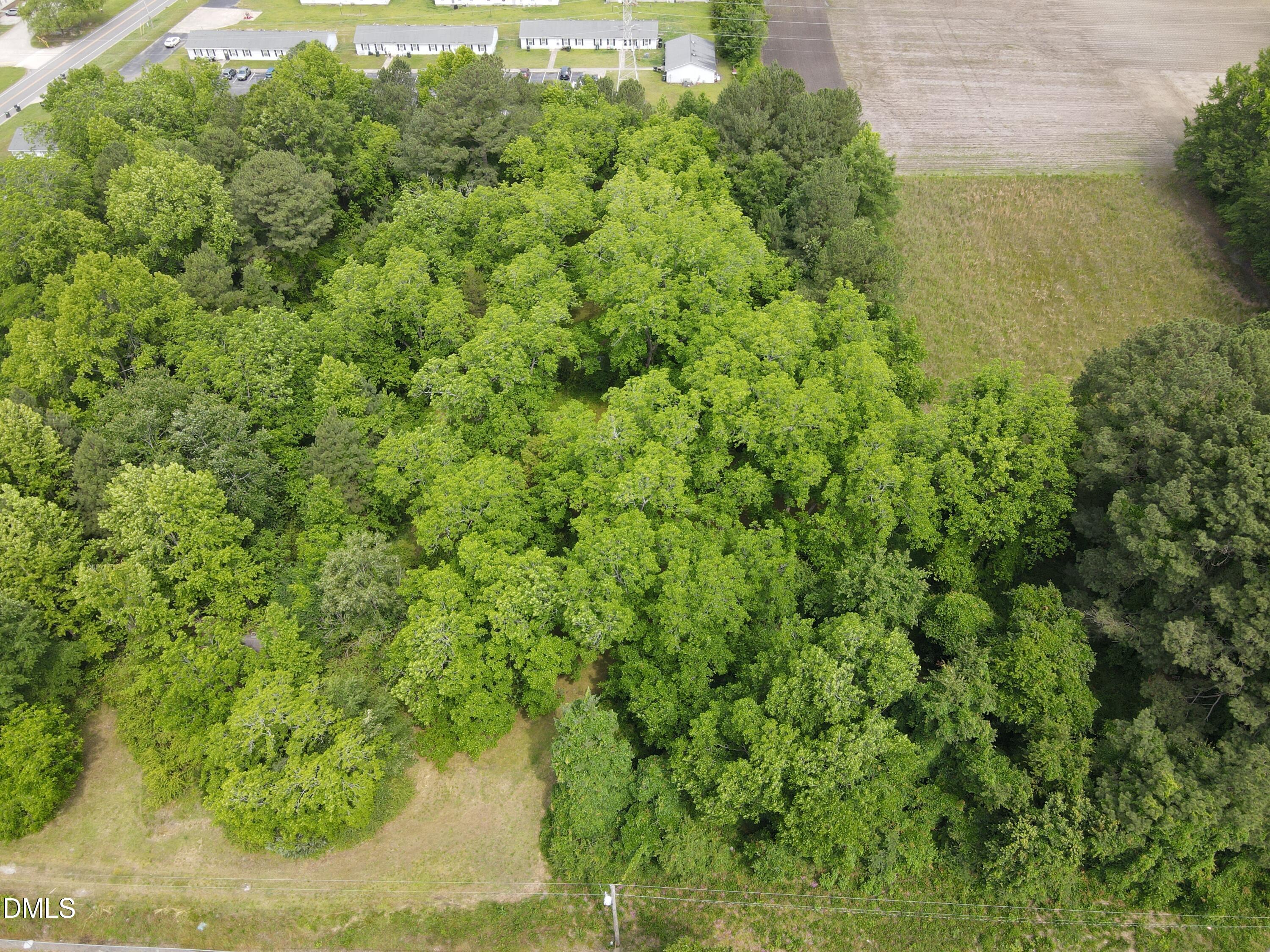 1708-1710 London Church Road Northeast Wilson, NC 27893 - Photo 15 of 27 a view of a garden