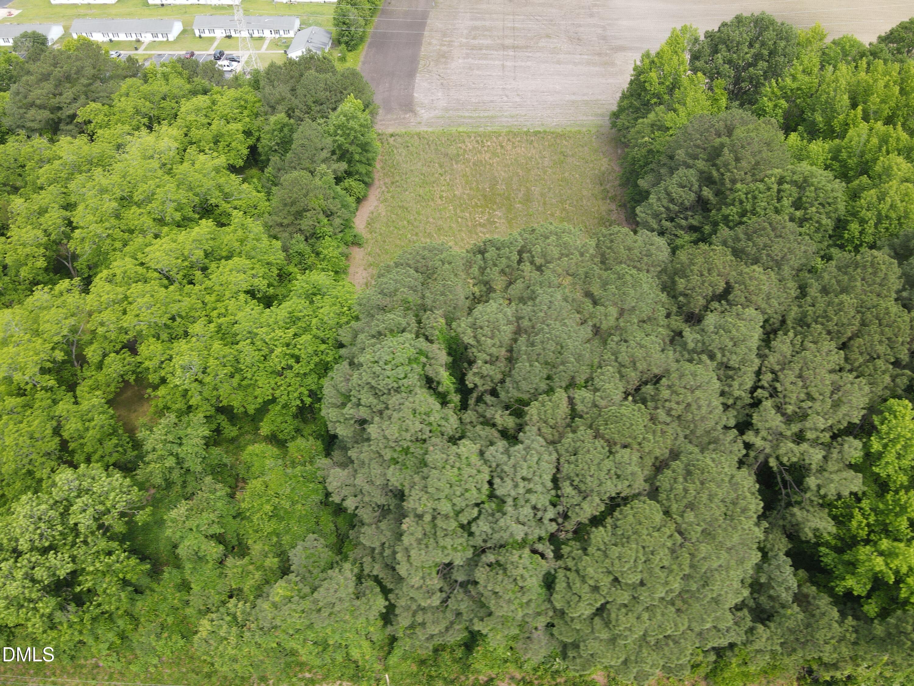 1708-1710 London Church Road Northeast Wilson, NC 27893 - Photo 16 of 27 a view of a forest that has a tree