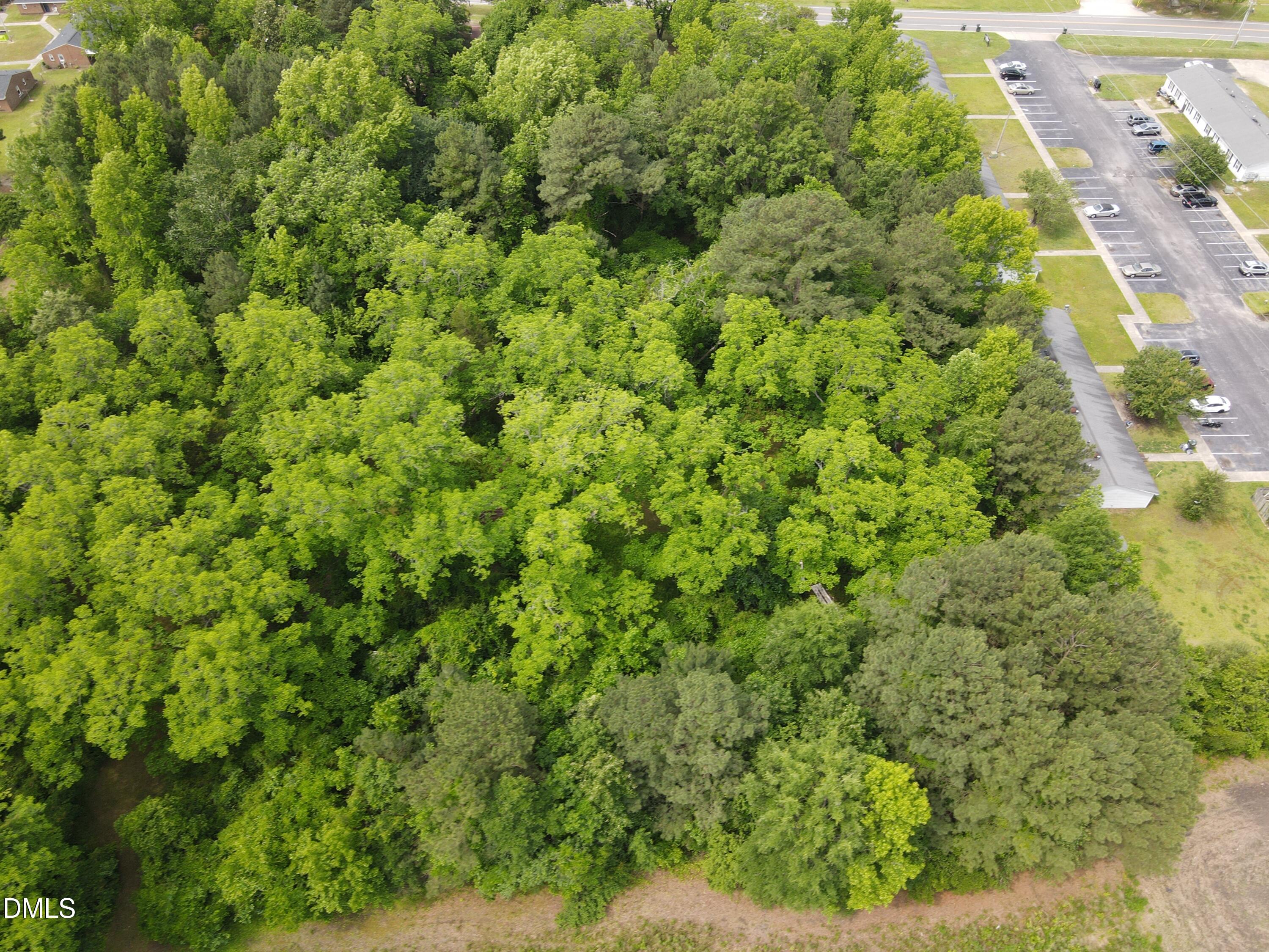 1708-1710 London Church Road Northeast Wilson, NC 27893 - Photo 21 of 27 a view of a lush green forest