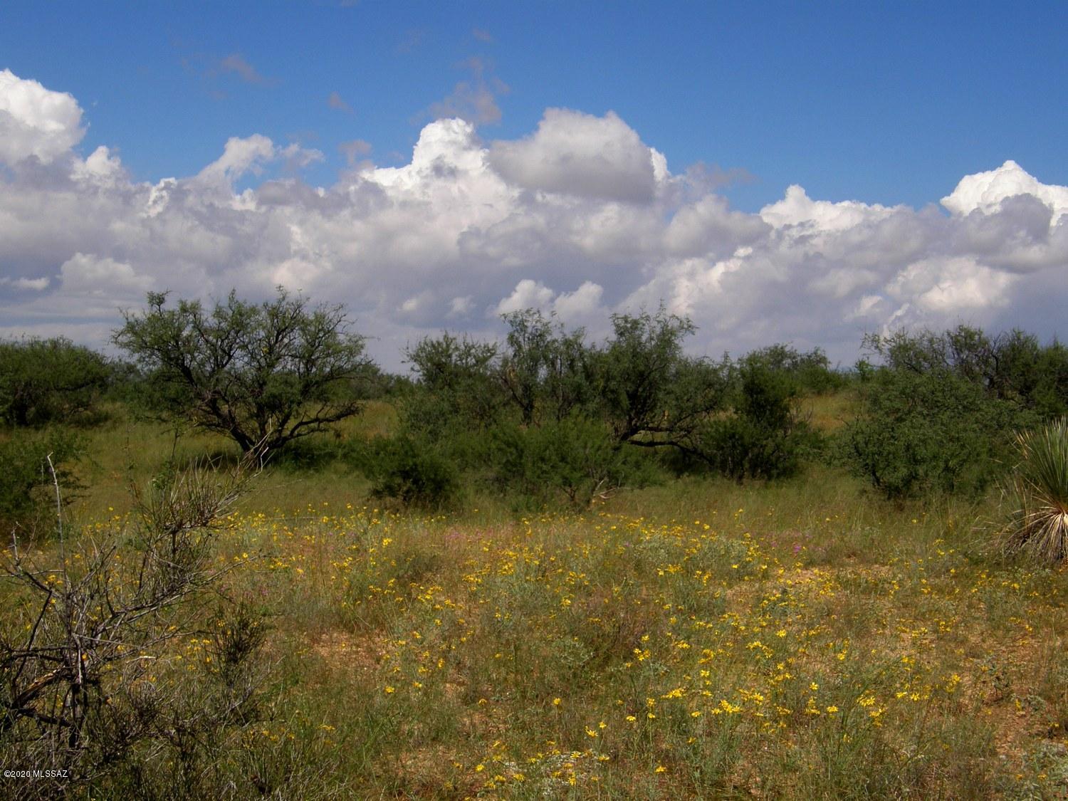 Tbd South Covered Wagon Road, Unit 71 Willcox, AZ 85643 - Photo 1 of 12