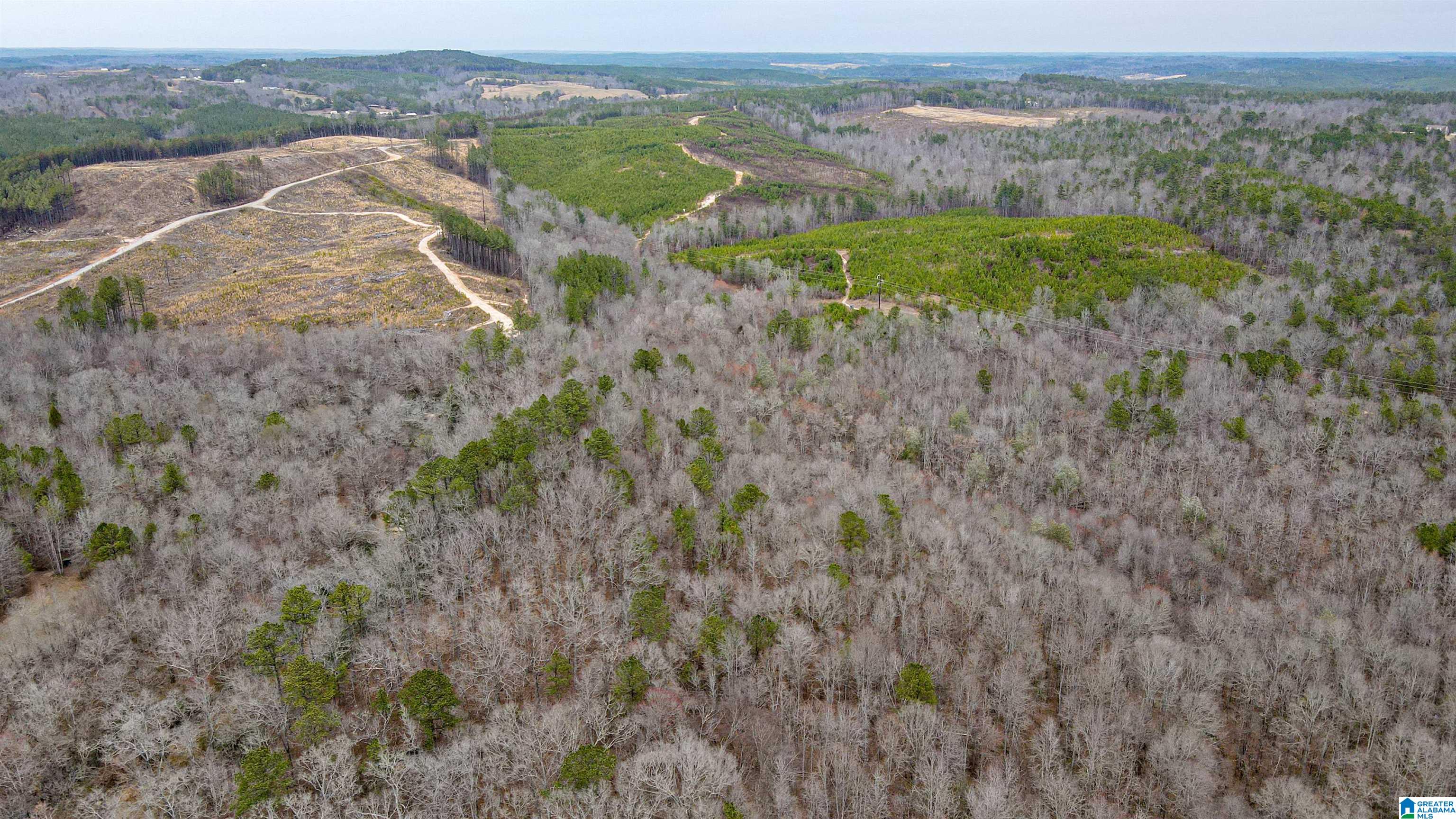 339 County Road Nauvoo, AL 35578 - Photo 17 of 57