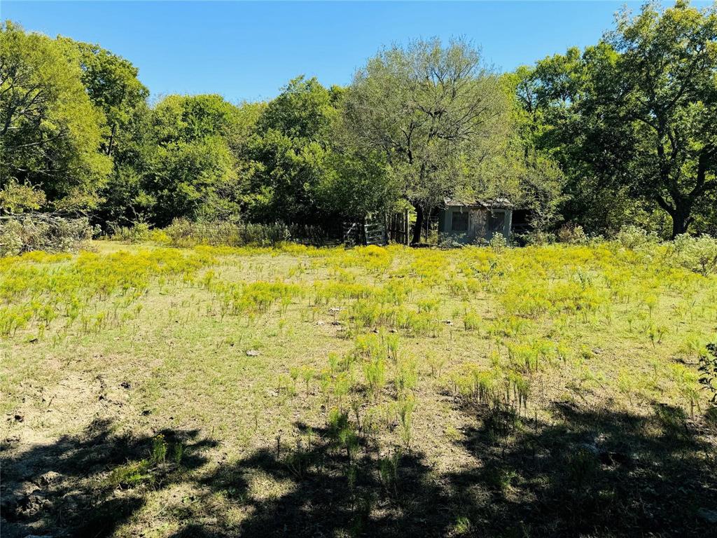 Tbd County Road 3045 Bonham, TX 75438 - Photo 14 of 14 a view of a yard with trees