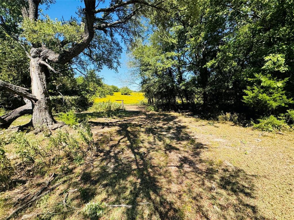 Tbd County Road 3045 Bonham, TX 75438 - Photo 2 of 14 a view of a yard with a tree