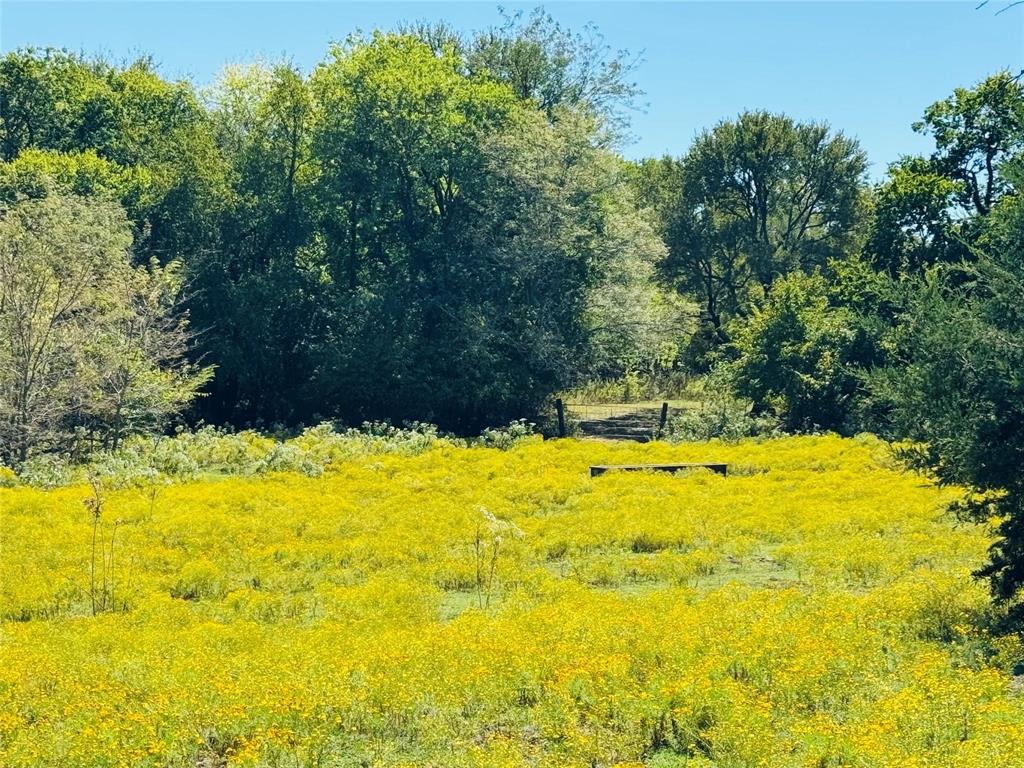 Tbd County Road 3045 Bonham, TX 75438 - Photo 4 of 14 a view of swimming pool with an outdoor space