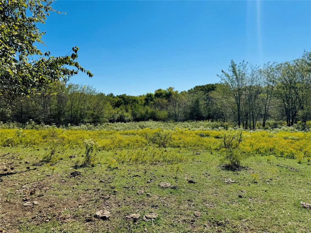 Tbd County Road 3045 Bonham, TX 75438 - Photo 5 of 14 a view of a yard