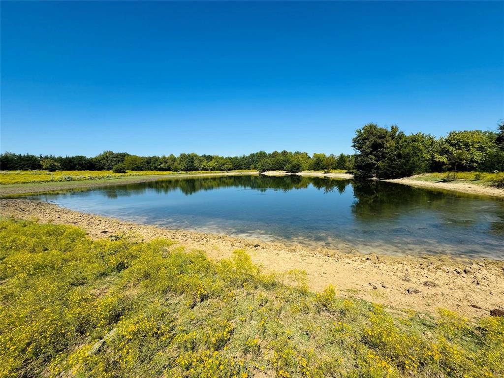 Tbd County Road 3045 Bonham, TX 75438 - Photo 6 of 14 a view of a lake with houses in the background