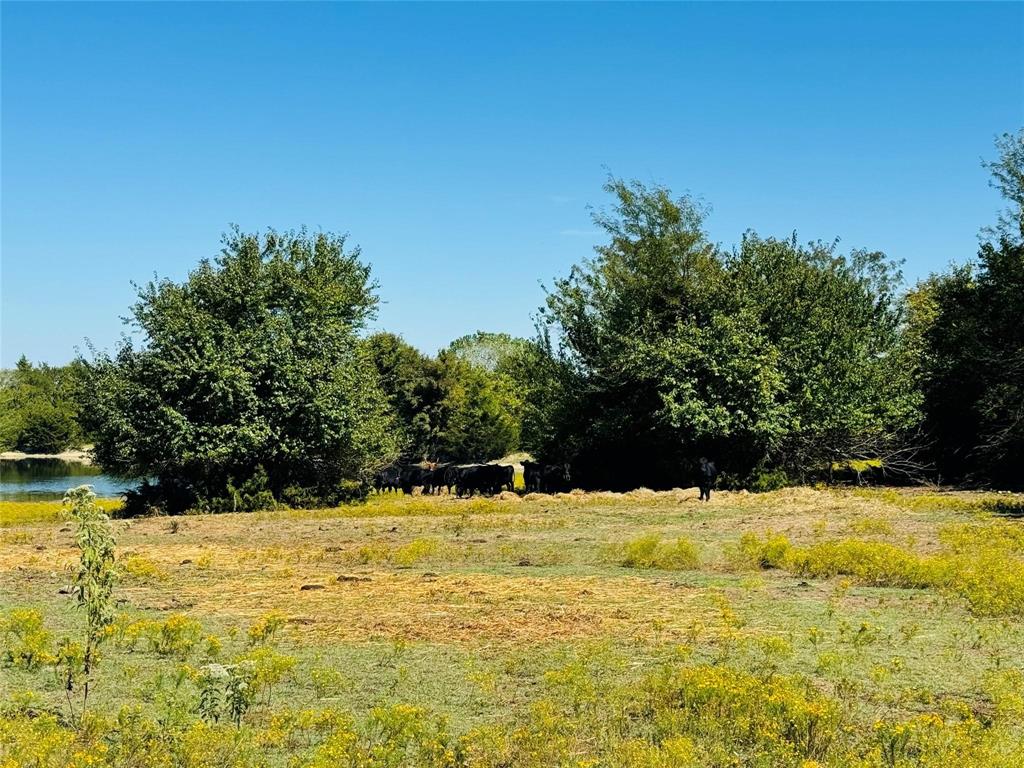 Tbd County Road 3045 Bonham, TX 75438 - Photo 7 of 14 a view of swimming pool with an outdoor space